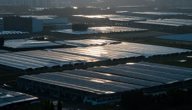 南昌高端网站建设,商机撮合服务如何推动本地市场分析